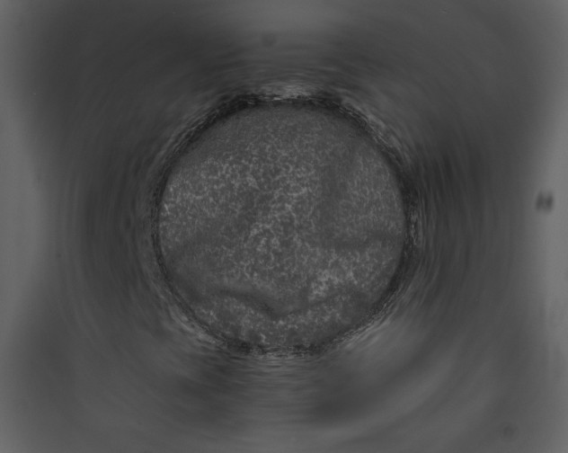 X0000089751393200707121331