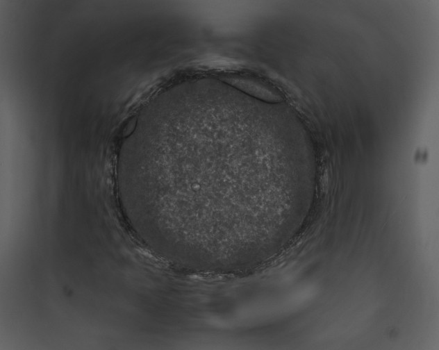 X0000089751397200707121331