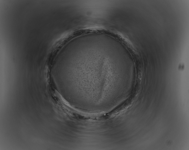 X0000089751398200707121332