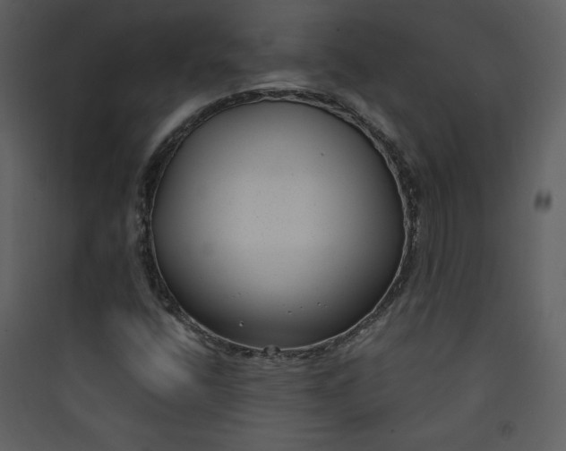 X0000089751400200707121332