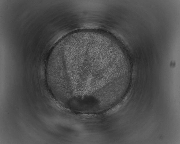 X0000089751401200707121332