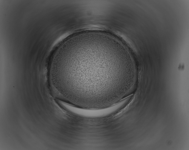 X0000089751402200707121332