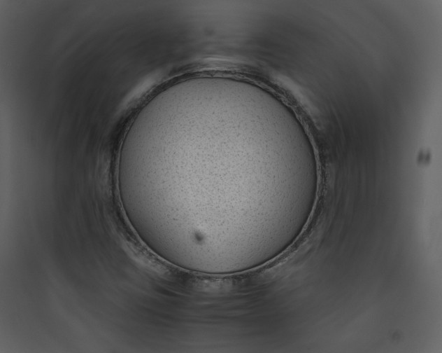 X0000089751403200707121332