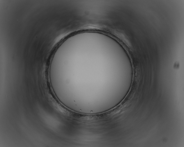 X0000089751404200707121332