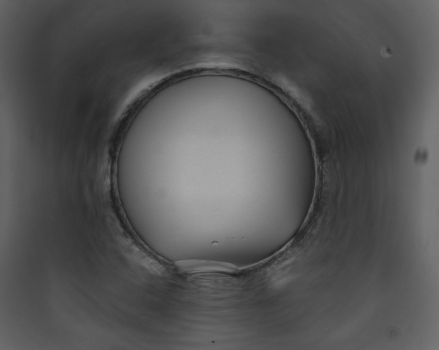 X0000089751408200707121332