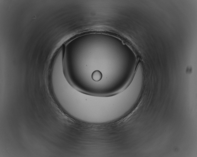 X0000089751410200707121332