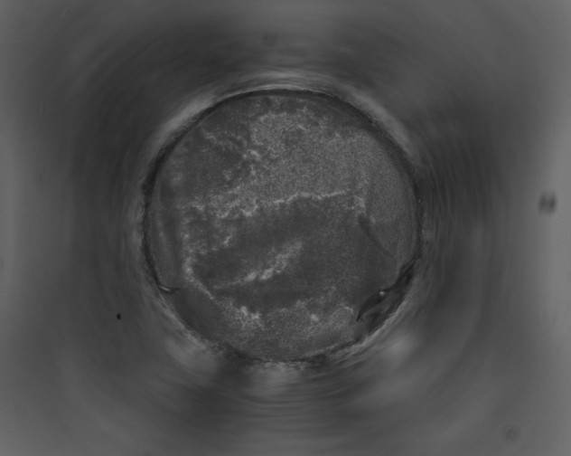 X0000089751411200707121332