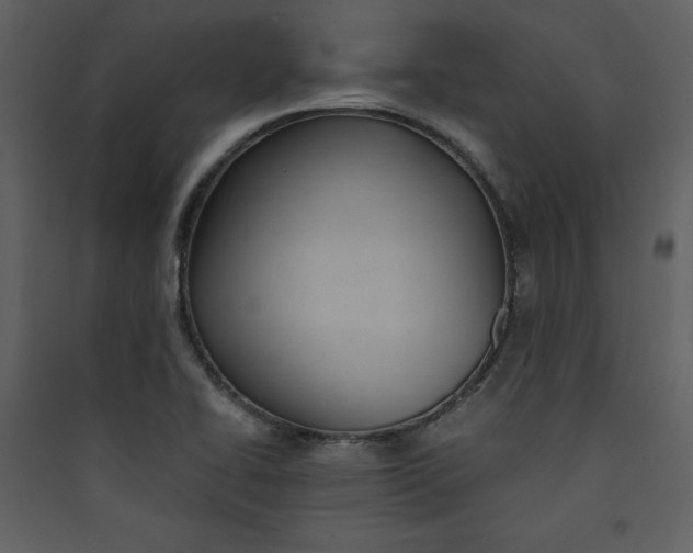 X0000089751414200707121332