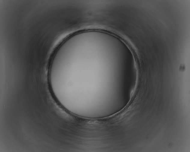 X0000089751416200707121332