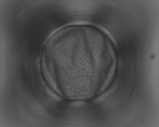 X0000089751417200707121332