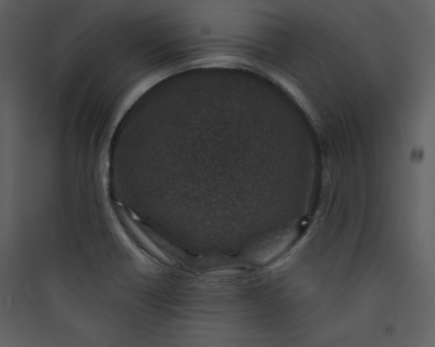 X0000089751418200707121332