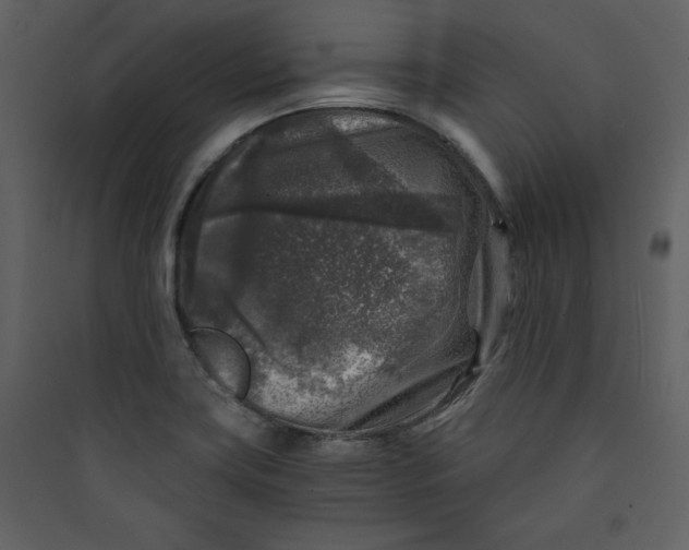 X0000089751419200707121332