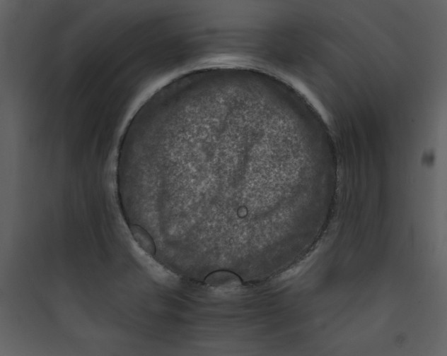 X0000089751421200707121332