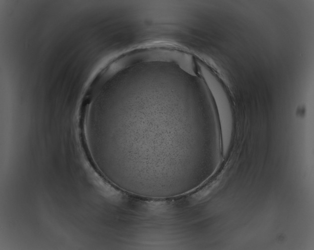 X0000089751422200707121332