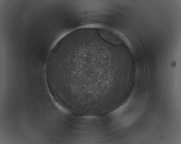 X0000089751425200707121332