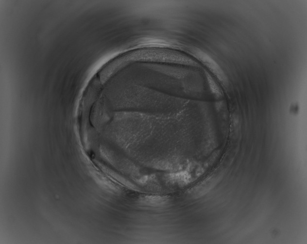 X0000089751427200707121332