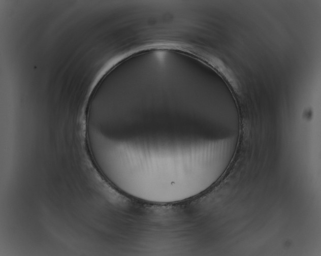 X0000089751428200707121332