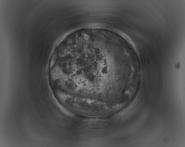 X0000089751429200707121332