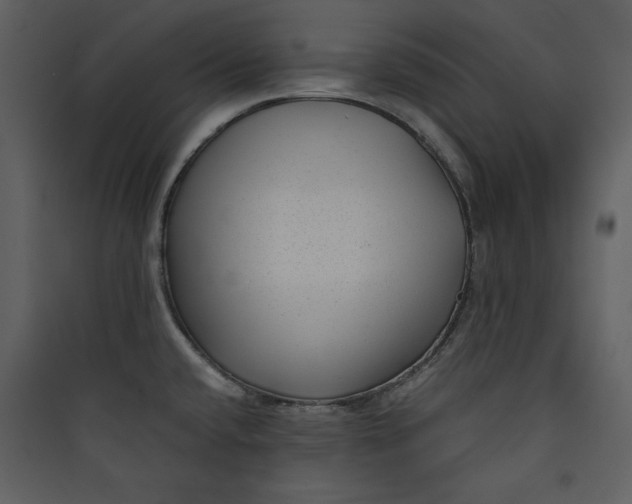 X0000089751432200707121332