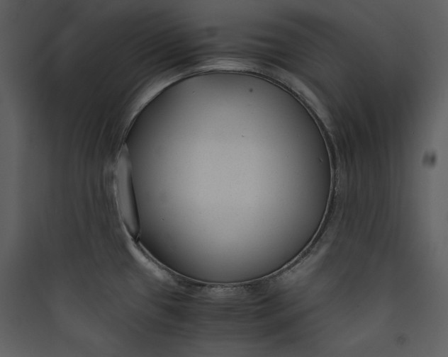 X0000089751433200707121332