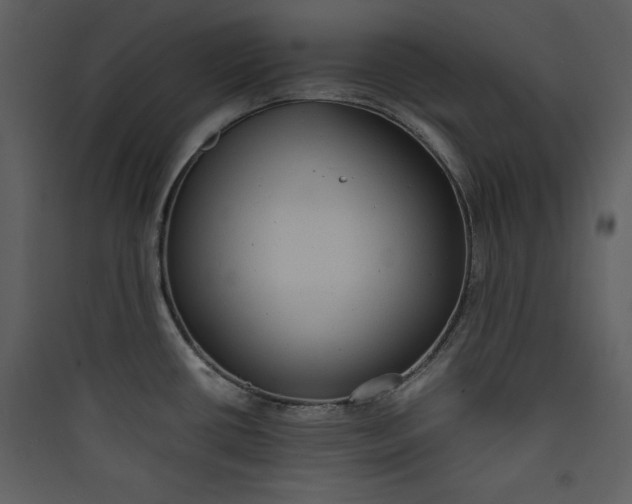 X0000089751434200707121332