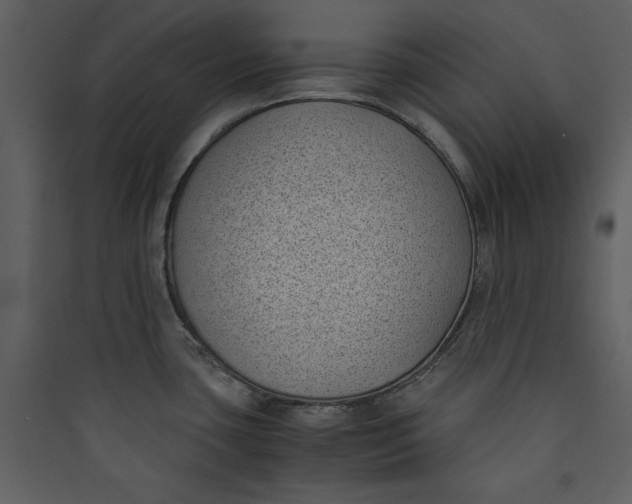 X0000089751435200707121332