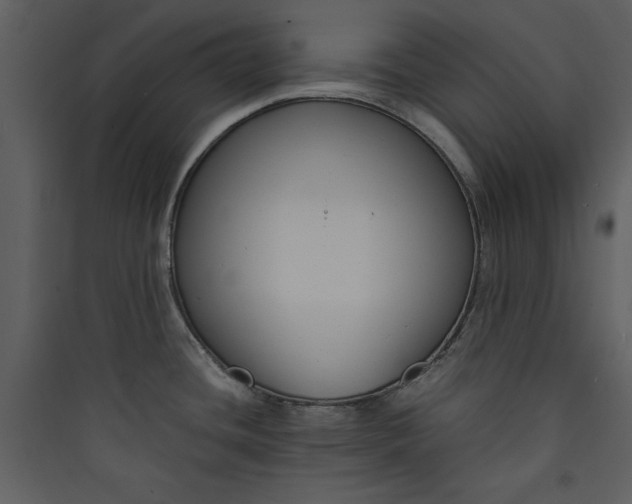 X0000089751436200707121332