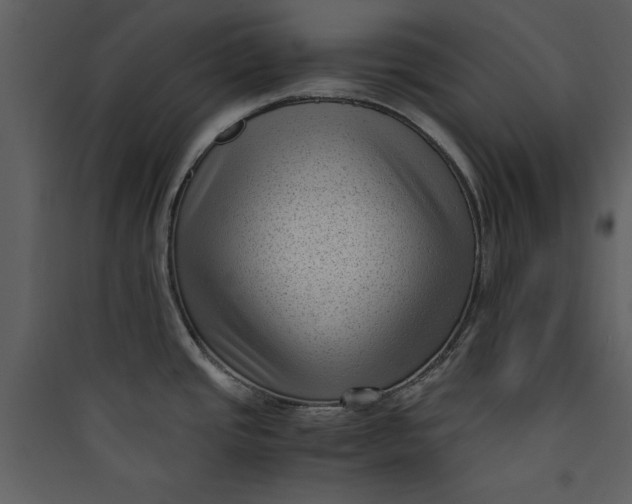 X0000089751437200707121332