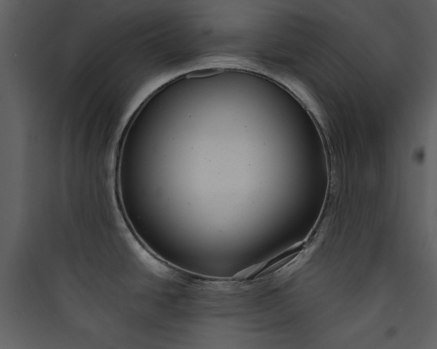 X0000089751438200707121332