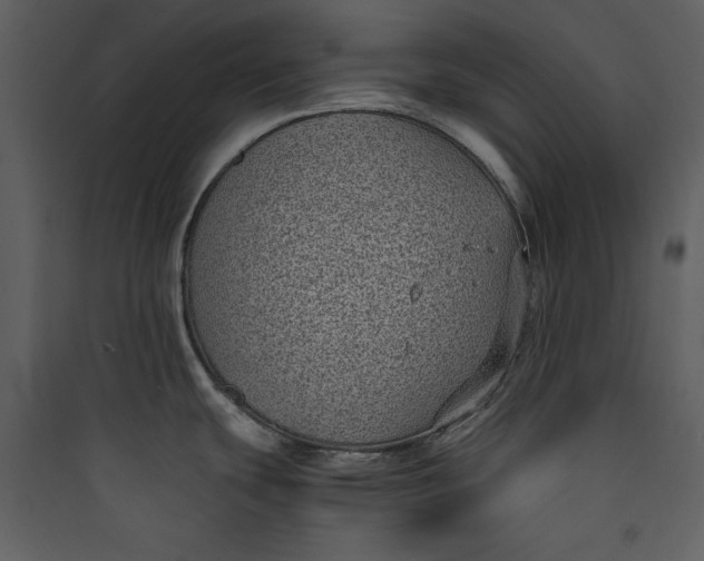 X0000089751439200707121332