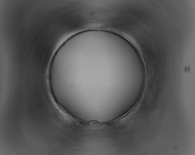 X0000089751440200707121332