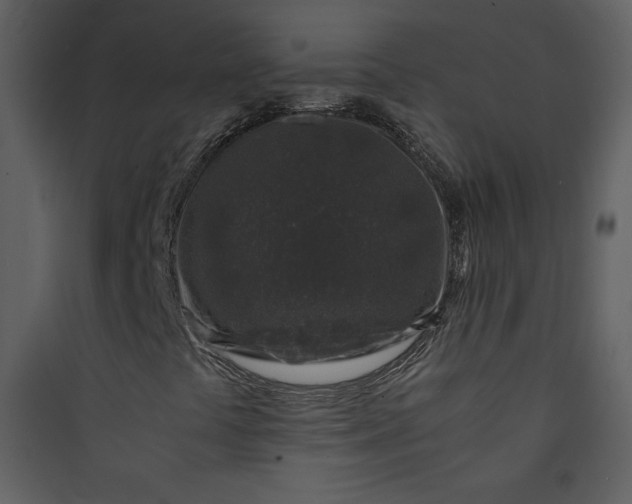 X0000089751441200707121331