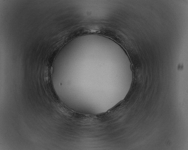 X0000089751442200707121331