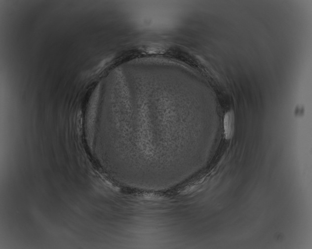 X0000089751443200707121331