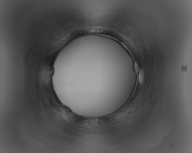 X0000089751444200707121331