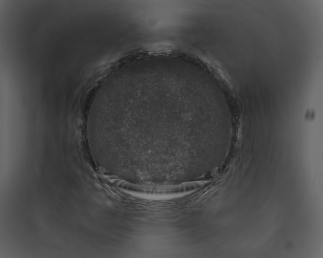 X0000089751445200707121331