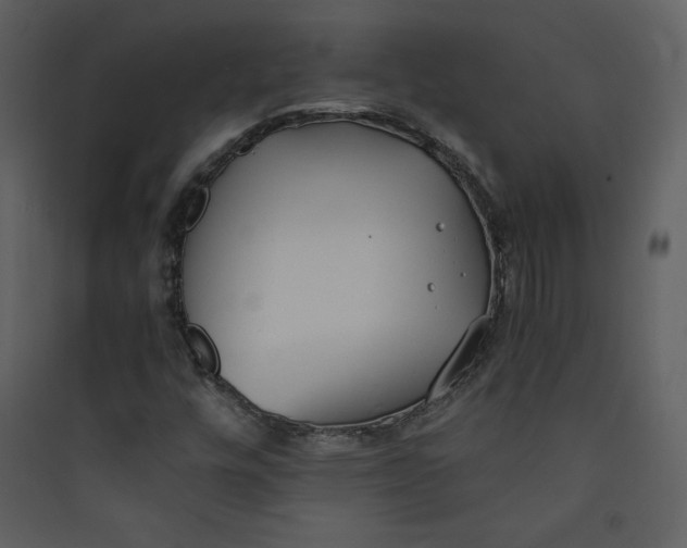 X0000089751448200707121331