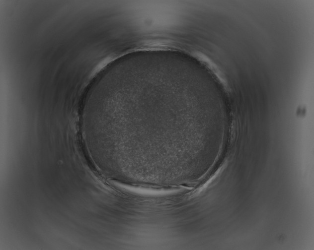 X0000089751449200707121331