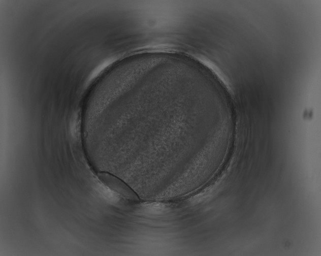 X0000089751450200707121331