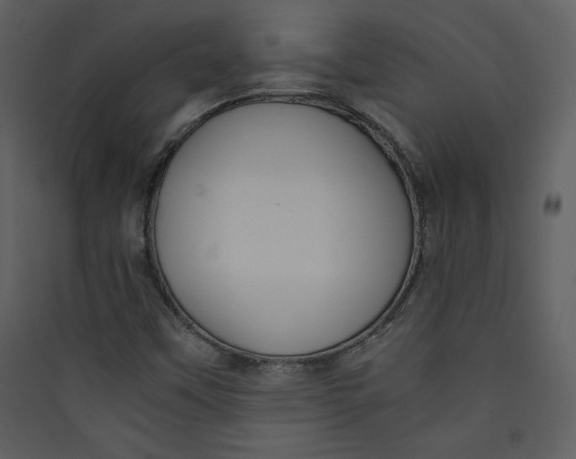 X0000089751451200707121331