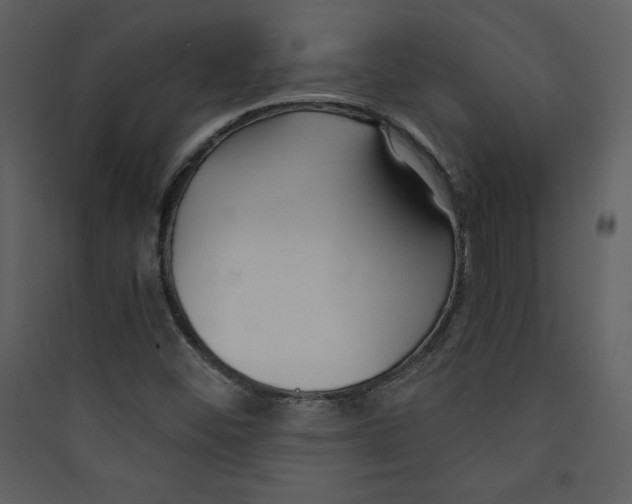 X0000089751452200707121331