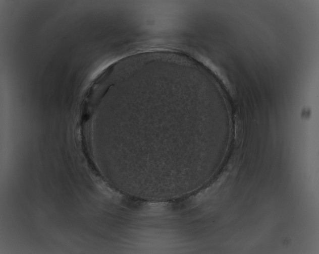 X0000089751453200707121331