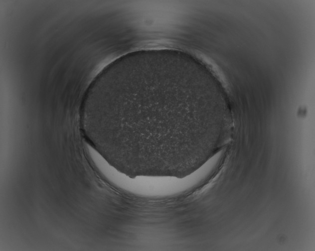 X0000089751457200707121331