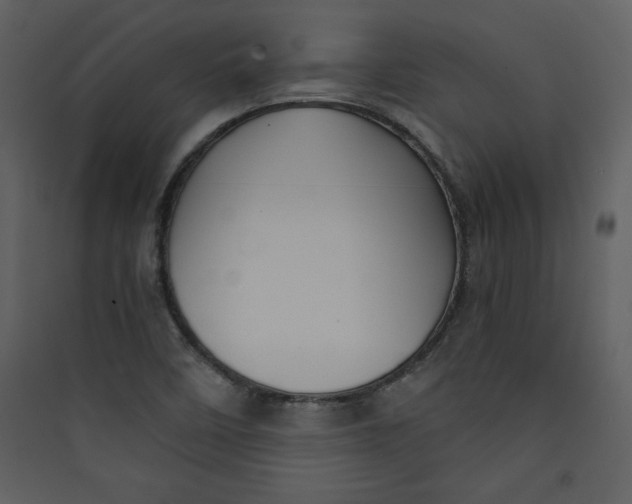 X0000089751458200707121331