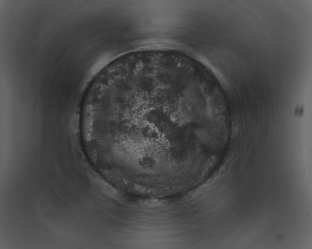 X0000089751459200707121331