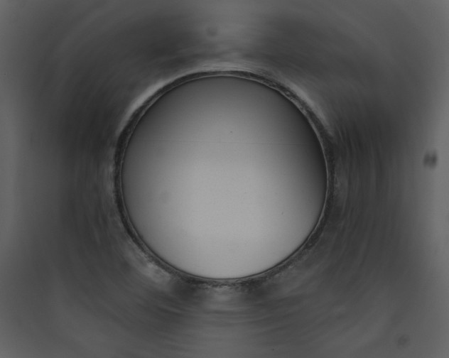 X0000089751460200707121331