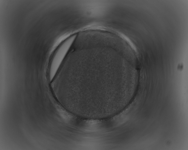 X0000089751461200707121331