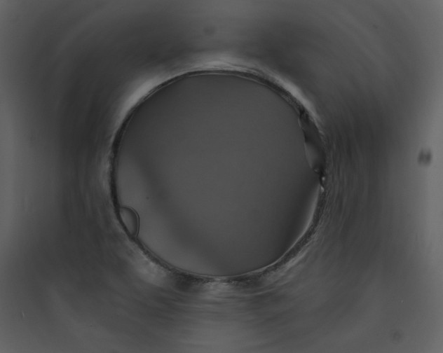 X0000089751463200707121331