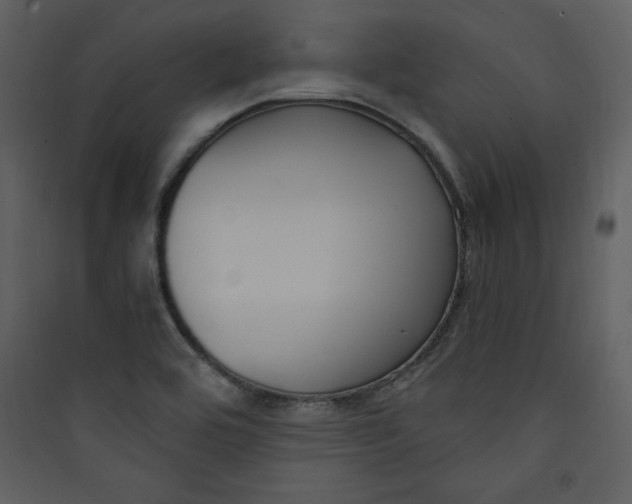 X0000089751464200707121331