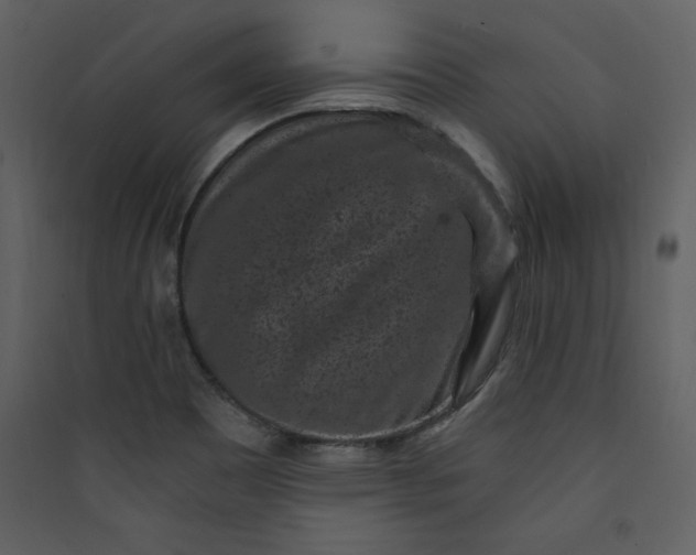 X0000089751465200707121331